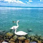 Holyday Relax