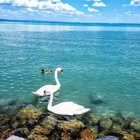 Holyday Relax